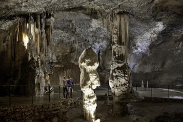 Tour pela Caverna de Postojna e pelo Castelo de Predjama saindo de Ljubljana